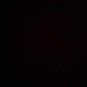 Meet your Posher, Lucy